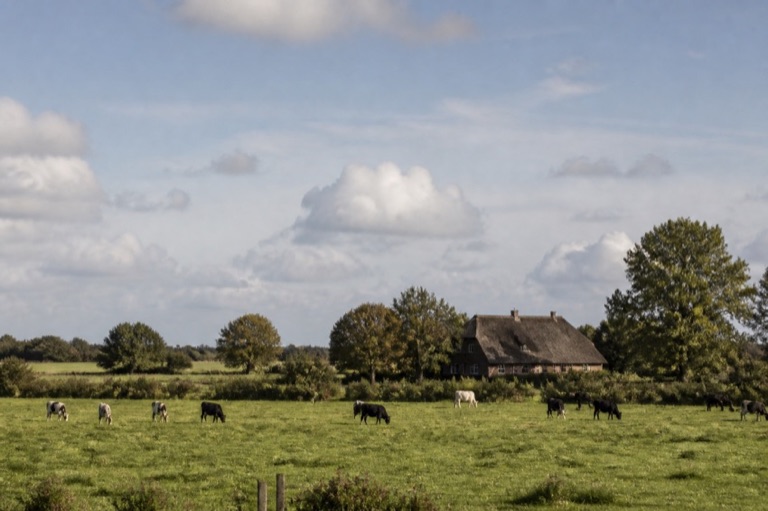Landschaft in Niedersachsen