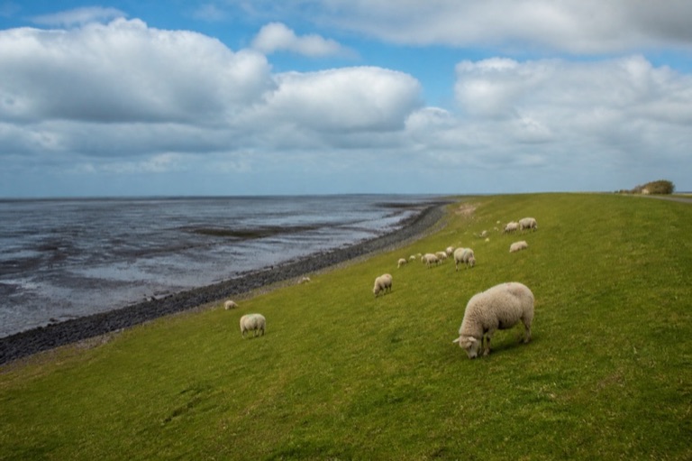 Landschaft in Schleswig-Holstein