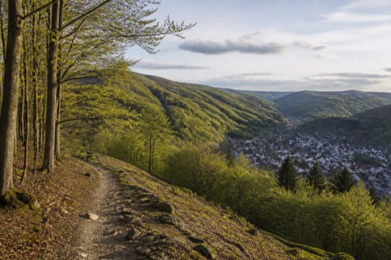 Landschaft in Thüringen